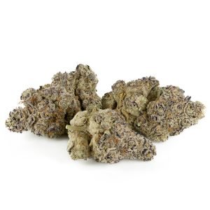 Biscotti