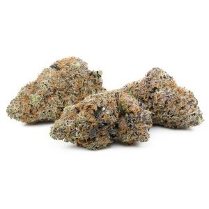 Chocolope Kush