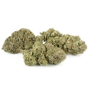 Cotton Candy Kush