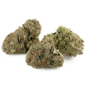 Dank Sinatra