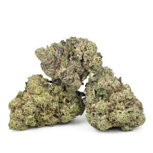 Donkey Butter by Exotic Genetix
