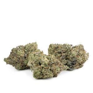 Gator Breath