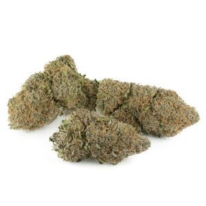 Gelato #33