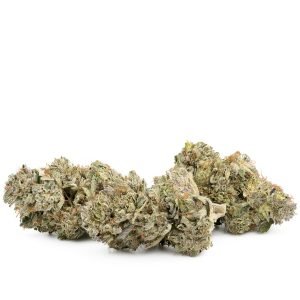 Ghost Dawg