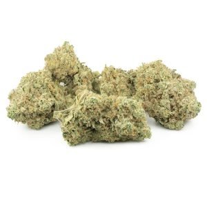 Girl Scout Cookies (Bulk)