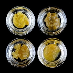 High Voltage Extracts Bundle