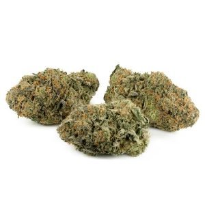 King Louis XIII