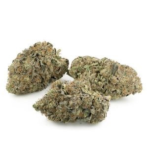 Master Kush
