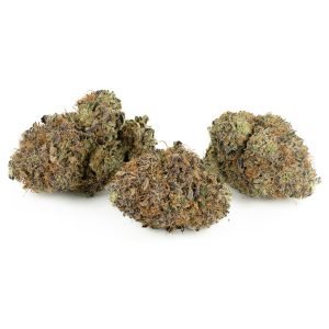Purple Kush (Bulk)