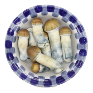 Blue Pulaski Premium